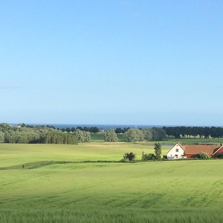 Garden Mellan Slotten Svarte Zewnętrze zdjęcie