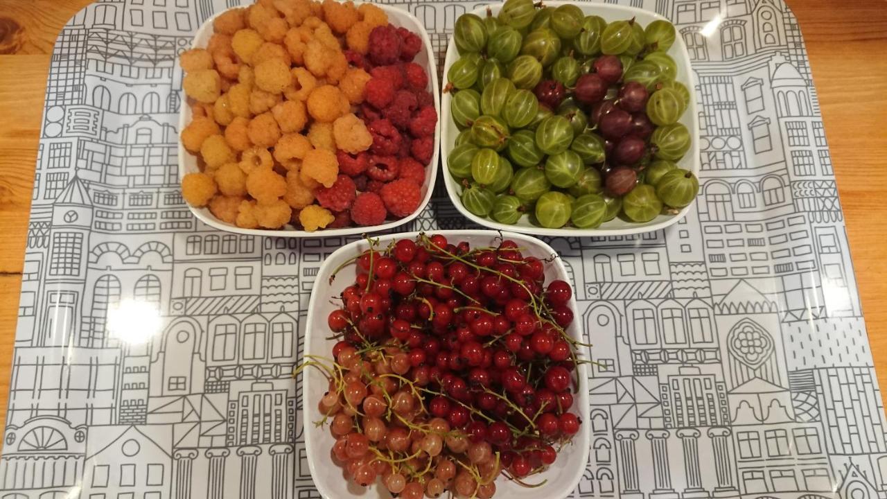 Garden Mellan Slotten Svarte Zewnętrze zdjęcie