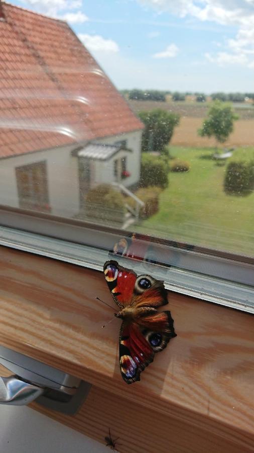 Garden Mellan Slotten Svarte Zewnętrze zdjęcie