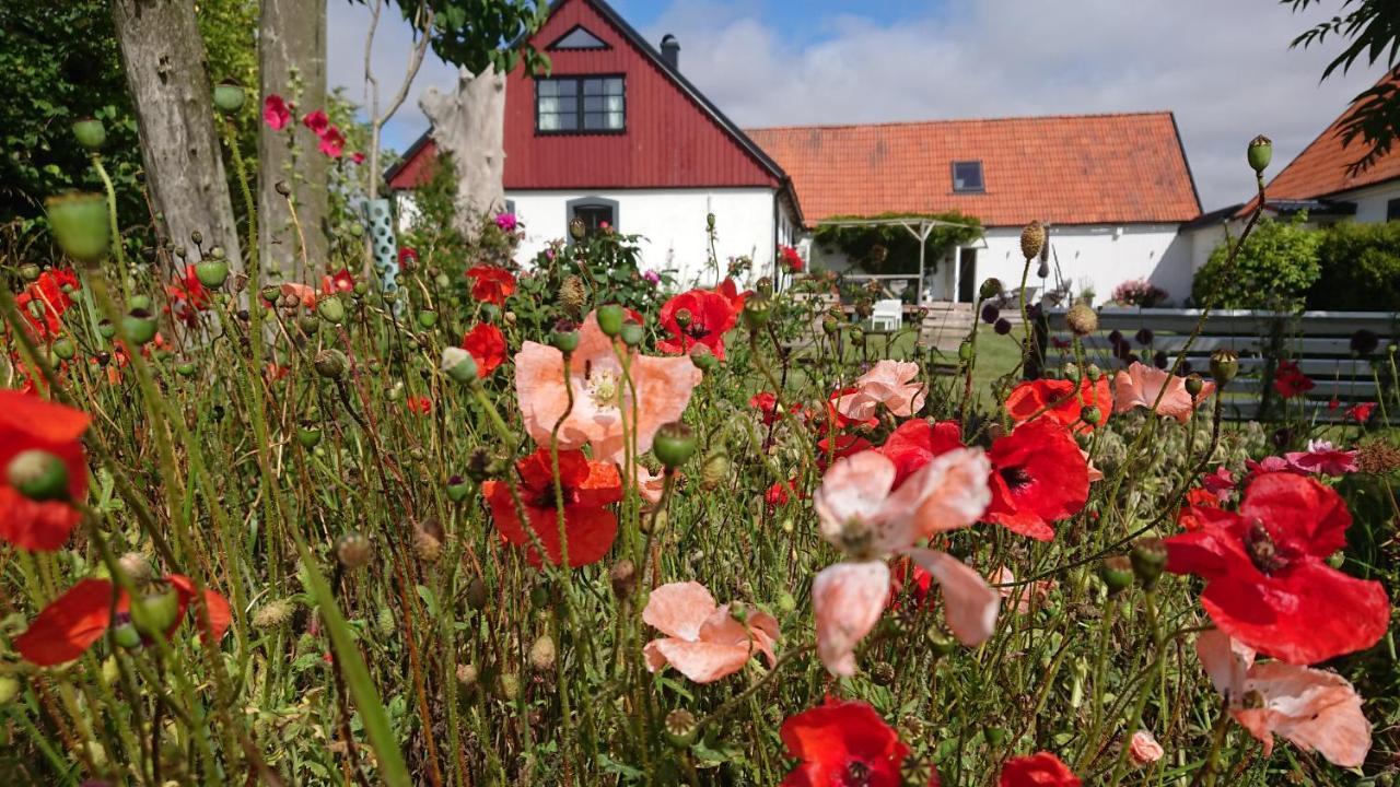 Garden Mellan Slotten Svarte Zewnętrze zdjęcie