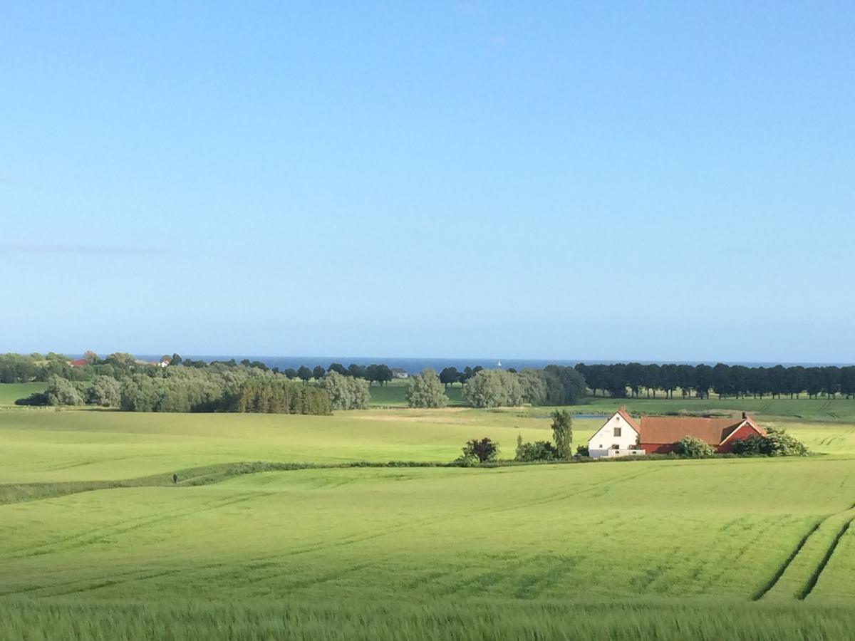 Garden Mellan Slotten Svarte Zewnętrze zdjęcie