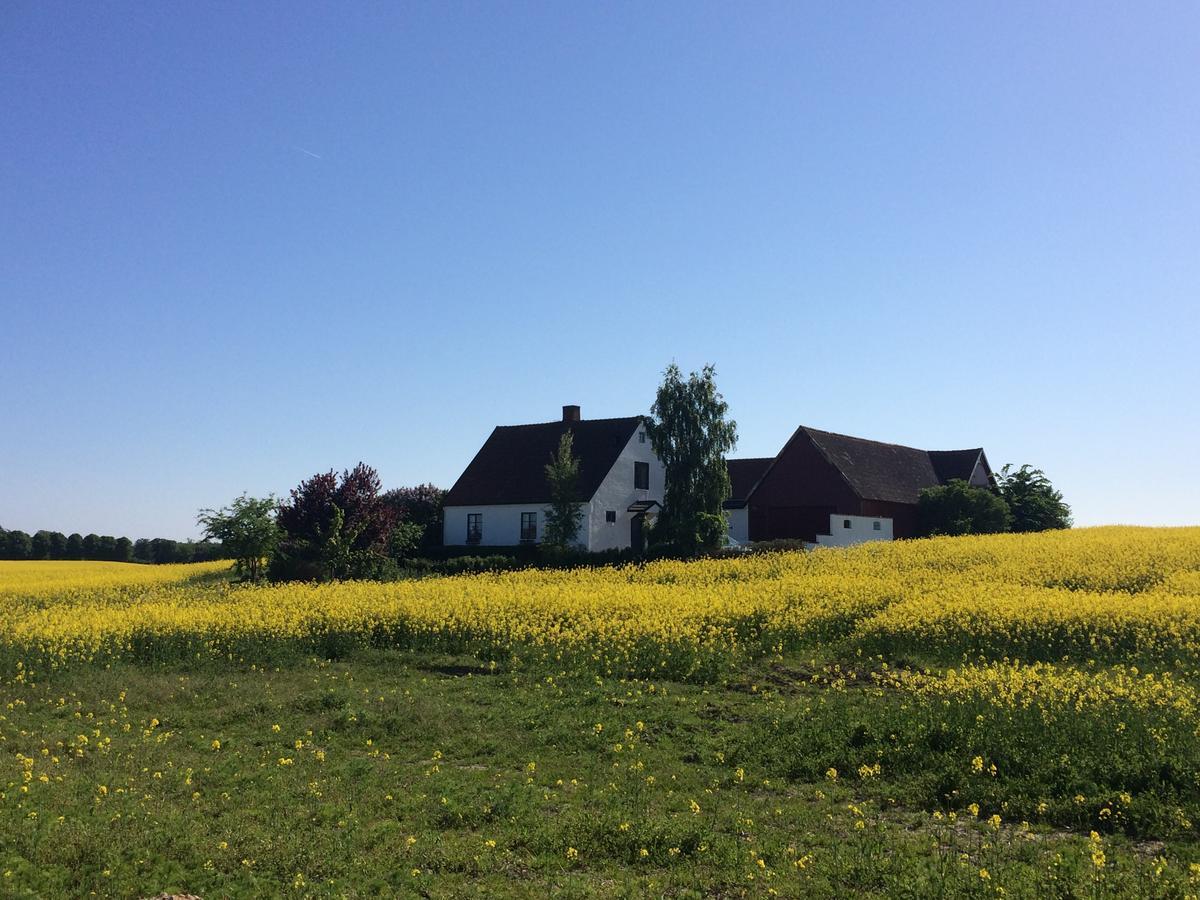 Garden Mellan Slotten Svarte Zewnętrze zdjęcie