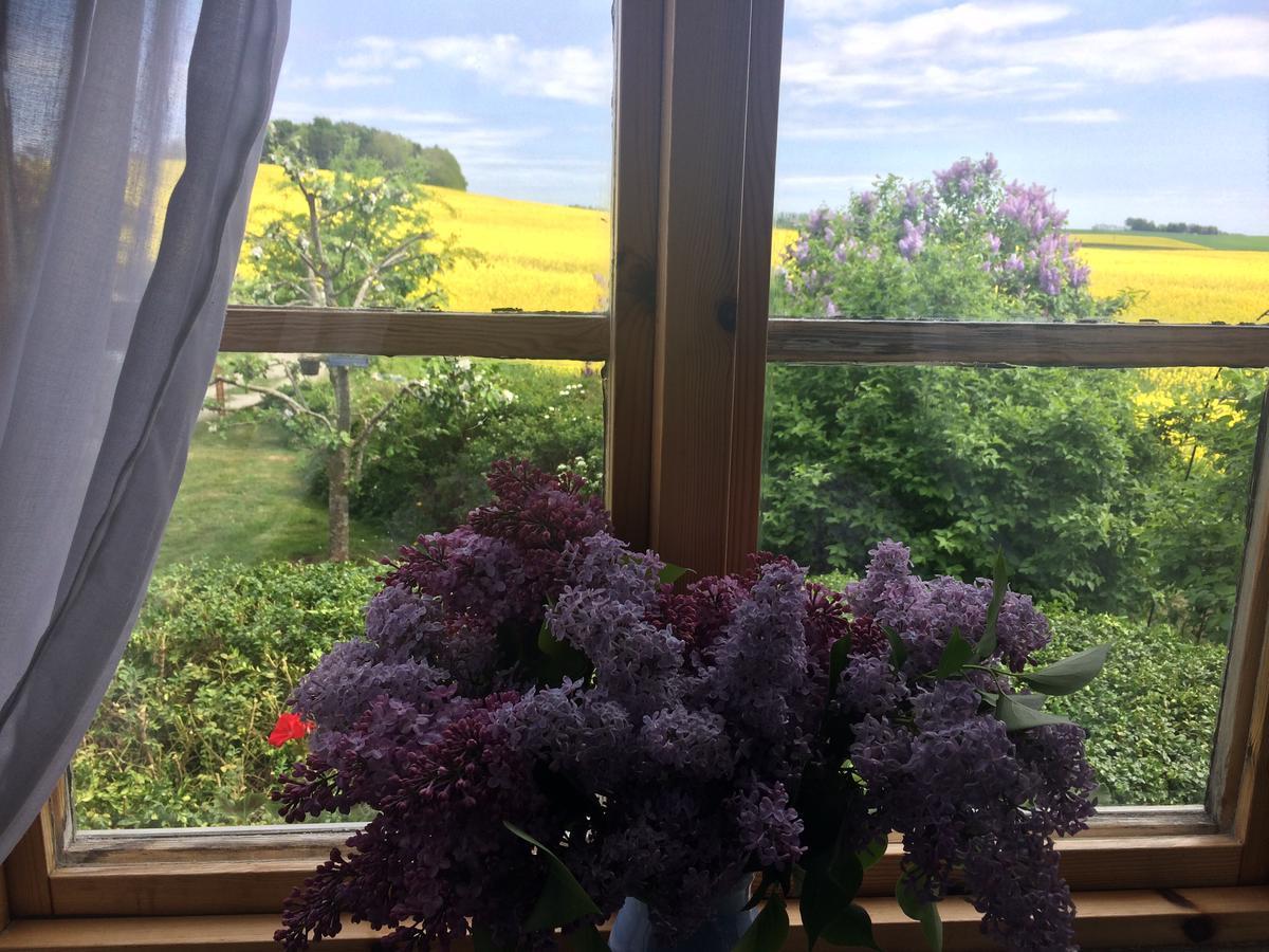 Garden Mellan Slotten Svarte Zewnętrze zdjęcie