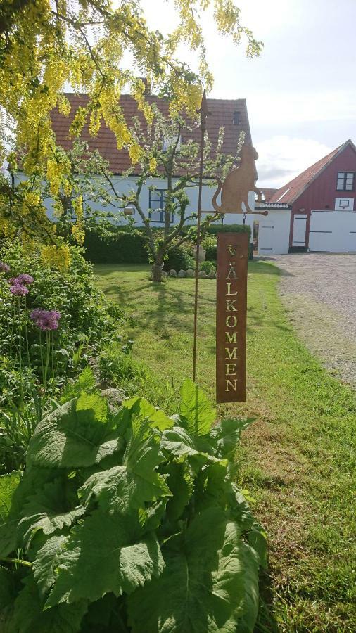 Garden Mellan Slotten Svarte Zewnętrze zdjęcie
