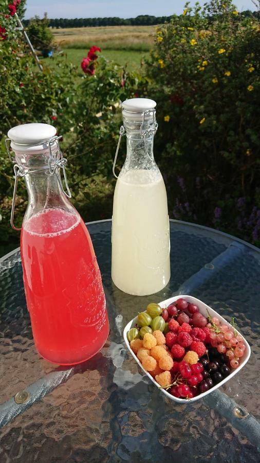 Garden Mellan Slotten Svarte Zewnętrze zdjęcie